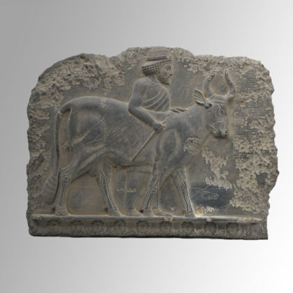 AReA-Vienna | Relief – Stier